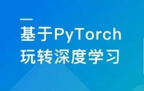 PyTorch深度学习开发医学影像端到端判别 百度网盘