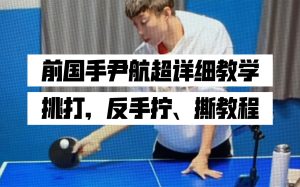中国国家乒乓球队国手尹航教学_尹航 百度网盘