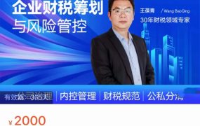 王葆青：企业财税筹划与风险管控课程，价值2000  百度网盘