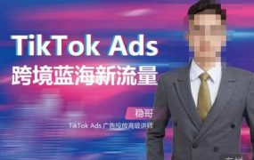 稳哥·如何投出高ROI的TikTok广告，开拓独立站卖家流量新蓝海 百度网盘