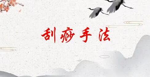 刘霞新版人体十二部刮痧视频课程13集 百度网盘