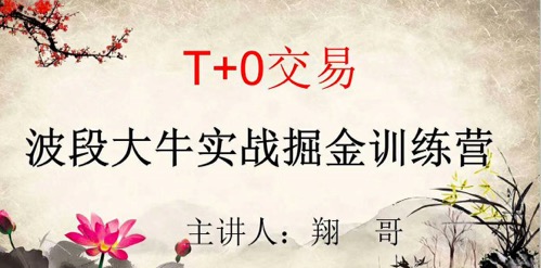 翔哥擒龙 T+0交易波段大牛实战掘金训练营实战课程