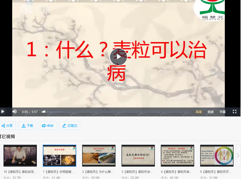中医麦粒灸视频课程16集 百度网盘