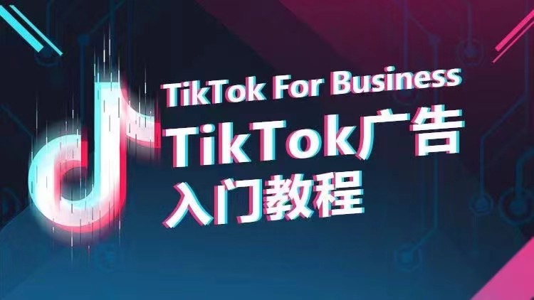 TikTok广告入门教程 百度网盘